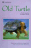 Old Turtle