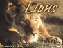 Lions