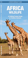 African Wildlife: An Introduction to Familiar Species