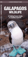 Galapagos Wildlife: An Introduction to Familiar Species