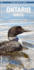 Ontario Birds: An Introduction to Familiar Species