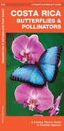 Costa Rica Butterflies & Moths: An Introduction to Familiar Species