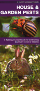 House & Garden Pests: How to Organically Control Common Invasive Species