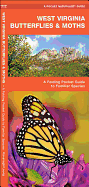 West Virginia Butterflies & Moths: An Introduction to Familiar Species