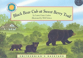 Black Bear Cub at Sweet Berry Trail