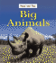 Big Animals
