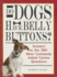Do Dogs Have Bellybuttons?: Answers to the 100+ Most Commonly Asked Canine Questions