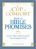 A Cup of Comfort Book of Bible Promises: Stories That Celebrate God S Encouraging Words