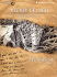 Storyteller Ken Thomasma: Story Giver Workbook