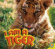 I Am a Tiger