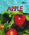 Raintree Perspectives: Life Cycles - the Life of an Apple