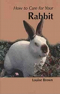 How to Care for Your Rabbit