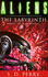 The Labyrinth, The