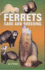 Ferrets: Care and Breeding