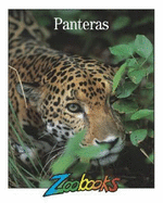 Grandes Felinos