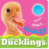 Little Noisy Ducklings