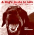 A Dog's Guide to Life (Herodias)
