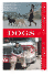 Dogs of Salt Lake City & Park City