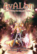 Avalon: Web of Magic: Trial by Fire Bk. 6