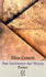Das Gewissen der Worte : Essays