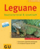Leguane. Neue Tierratgeber