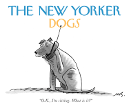 New Yorker Dogs