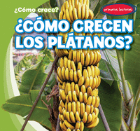 Cmo Crecen Los Pltanos? (How Do Bananas Grow?)