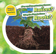 Por Qu Las Plantas Tienen Races? / Why Do Plants Have Roots?