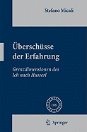 berschsse der Erfahrung: Grenzdimensionen des Ich nach Husserl