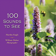 100 Sounds to See