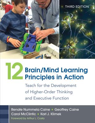 12 Brain/Mind Learning Principles in Action: Teach for the Development of Higher-Order Thinking and Executive Function - Caine, Renate Nummela, and Caine, Geoffrey, and McClintic, Carol Lynn