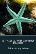 13 Types of Saltwater Starfish for Aquariums: Saltwater Aquariums