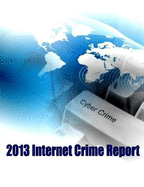 2013 Internet Crime Report