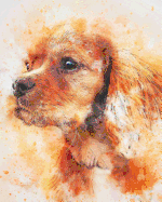 2019-2020 Academic Planner Weekly and Monthly Curious Dog