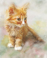 2019-2020 Academic Planner Weekly and Monthly Cute Cat