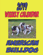 2019 Weekly Calendar American Bulldog: Personal notes, Weekly Calendar, Passwords, Coloring Pages