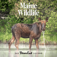 2024 Maine Wildlife Wall Calendar