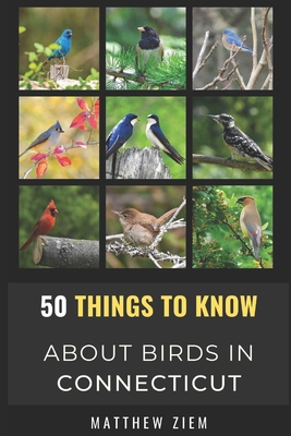 50 Things to Know About Birds in Connecticut: Birding in The "Nutmeg State" - Lechner, Doris, and Ziem, Matthew