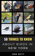 50 Things to Know About Birds in New York: Encountering Beautiful Species Around the Empire State