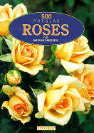 500 Popular Roses for American Gardeners