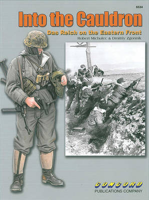 6534: into the Cauldron: Das Reich on the Eastern Front - Michulec, Robert