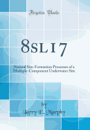 8sl17: Natural Site-Formation Processes of a Multiple-Component Underwater Site (Classic Reprint)