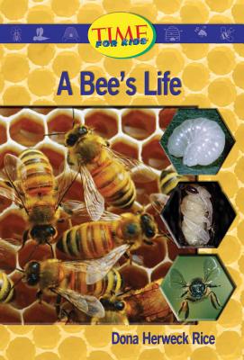 A Bee's Life - Rice, Dona Herweck
