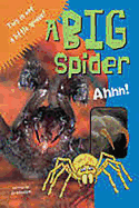 A Big Spider: Leveled Reader Blue