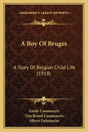 A Boy Of Bruges: A Story Of Belgian Child Life (1918)