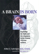 A Brain Is Born: Exploring the Birth & Development of the Central Nervous System