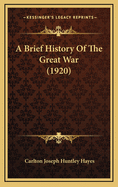 A Brief History of the Great War (1920)