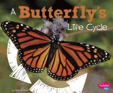 A Butterfly's Life Cycle