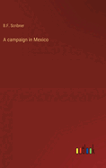 A campaign in Mexico