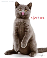 A Cat's Life! - Burton, Jane (Photographer)